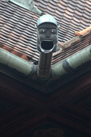 20050825 104305